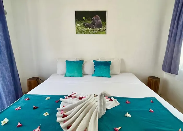 Selva y Mar Apart Hotel - 5Th Ave